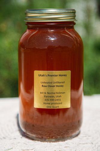Raw Clover Honey